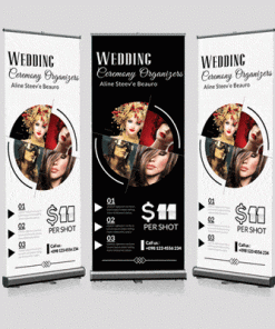 Budget Roller Banner
